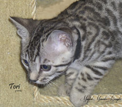 Nov 22~ 9 weeks