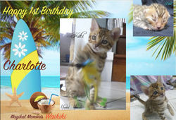 Happy 1st Birthday, Charlotte!