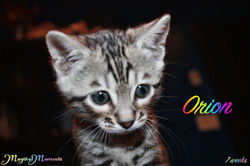 7 weeks ~ Dec 8
