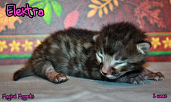 1 week ~ Oct 19