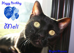 Happy 2nd Birthday, Meli!  (Dec 13)