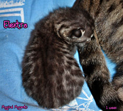 1 week ~ Oct 19