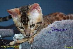 11 weeks ~ Oct 14