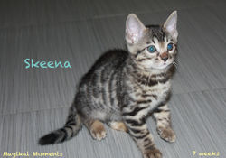 7 weeks ~ Nov 11