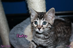 8 weeks ~ Dec 8