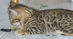 June 25 ~ 11 weeks