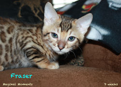9 weeks ~ Nov. 25