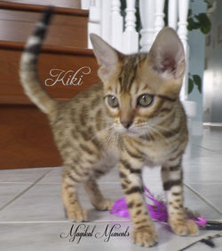 11 weeks ~ Aug 18