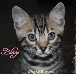 6.5 weeks ~ Dec. 7-9