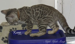 Nov 25 ~ 9 weeks