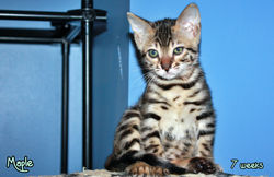 7 weeks ~ Nov 8