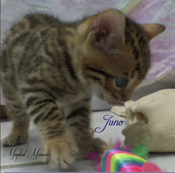 5 weeks ~ July 11