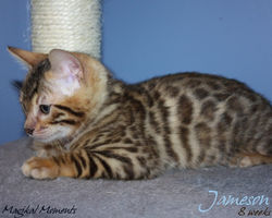 8 weeks ~ Sept 23