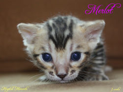 3 weeks ~ August 22