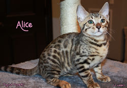 12 weeks ~ Sept 21