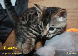 5 weeks ~ Oct 28