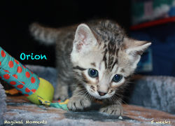 5 weeks ~ Nov 25