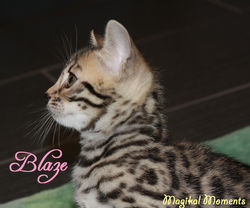 6.5 weeks ~ Dec. 7-9