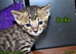 4 weeks ~ July 24