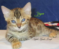 May 28 ~ 7.5 weeks