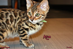 11 weeks ~ Jan 21