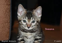 8 weeks ~ Nov 20