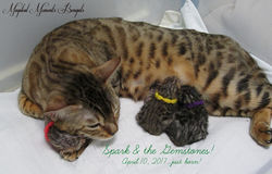 Just Born!