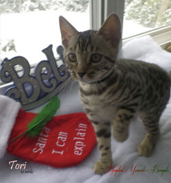 Dec 18 ~ 12 weeks