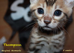 5 weeks ~ Oct 28