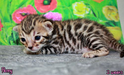2 weeks ~ July 22
