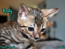7 weeks ~ August 17