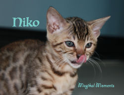 9 weeks ~ Oct 29