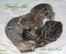 9 days old
