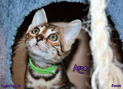 9 weeks ~ Jan 12
