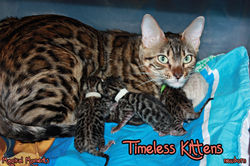 1 day ~ Newborn!