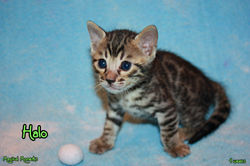 4 weeks ~ Dec 1