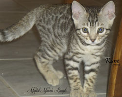 Nov 25 ~ 9 weeks