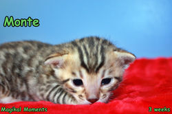 3 weeks ~ July 17
