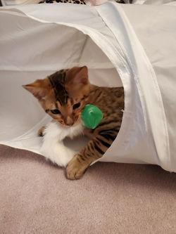 Hiro ~ February 2021
