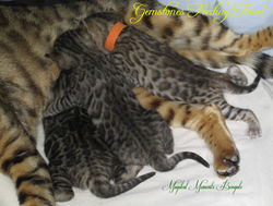 April 24....Feeding Time!