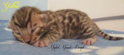 June 18 ~ 11 days