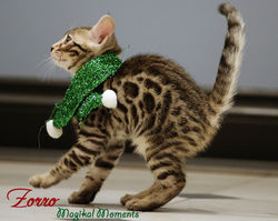 2 months...Christmas Eve