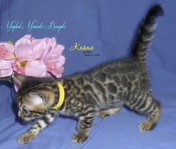 June 19 ~ 5.5 weeks