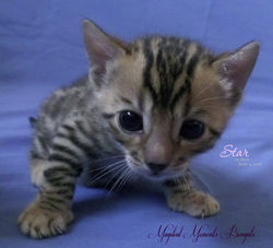 June 4 ~ 3.5 weeks