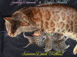Newborn Summer Drinks!