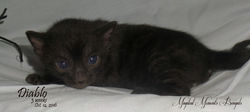 Oct. 14 ~ 3 weeks
