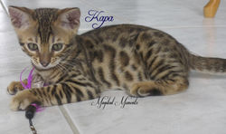 11 weeks ~ Aug 18