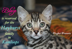 Reserved on December 15!