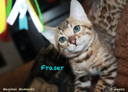 9 weeks ~ Nov. 25
