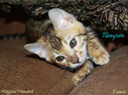 9 weeks ~ Nov. 25